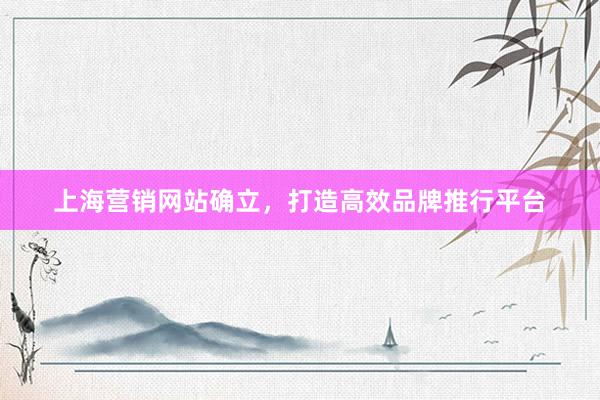 上海营销网站确立，打造高效品牌推行平台